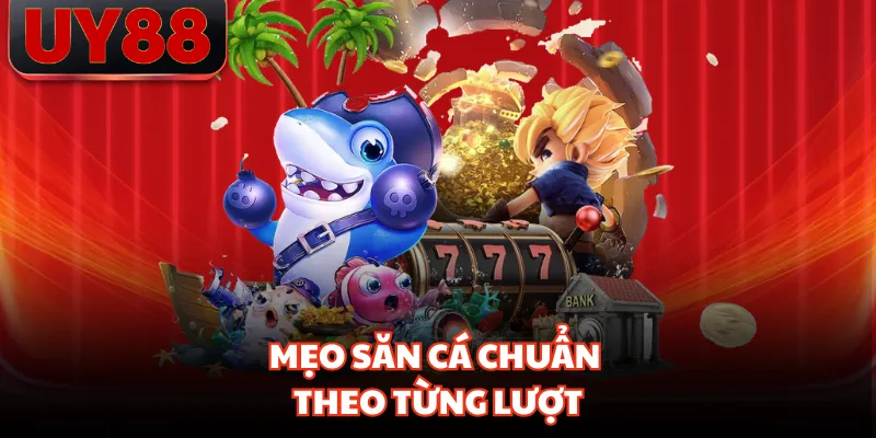 Mẹo săn cá chuẩn theo từng lượt